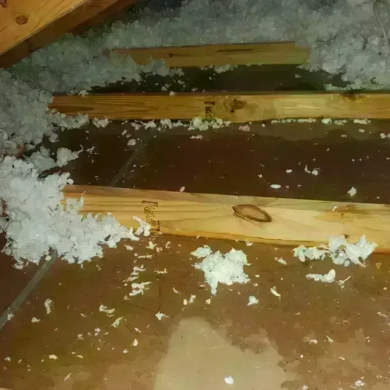 Attic Water Damage in Porcupine, SD