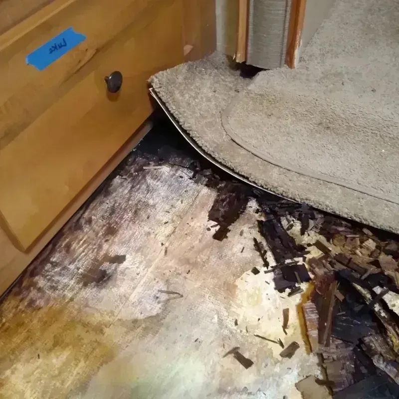 Wood Floor Water Damage in Porcupine, SD